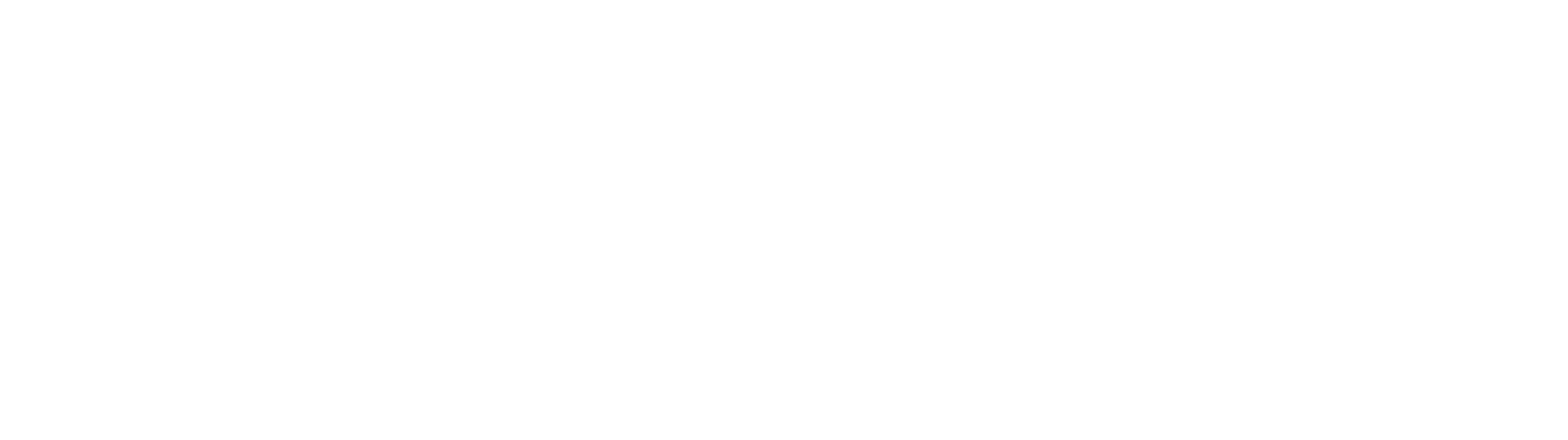 Safeconcept Logo